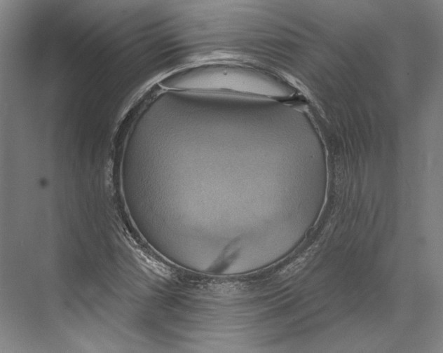 X0000071911066200608041403