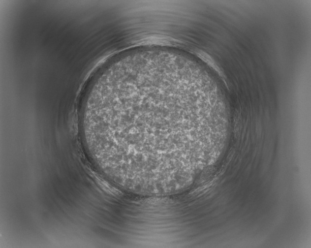 X0000071911067200608041403