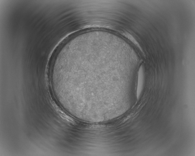 X0000071911068200608041403