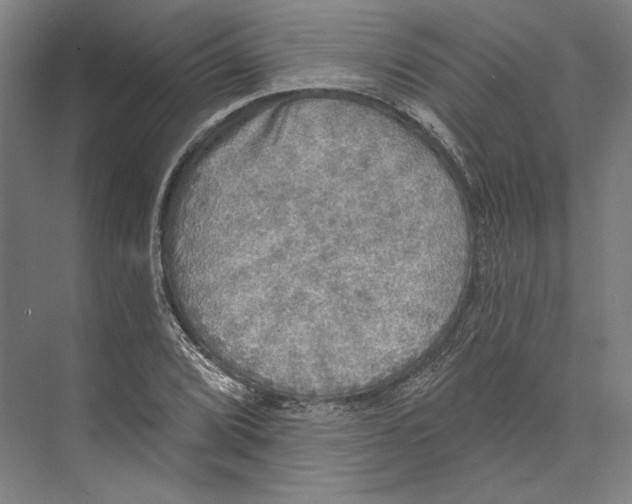 X0000071911072200608041403