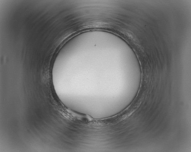 X0000071911073200608041403