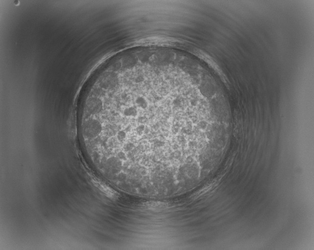 X0000071911075200608041403