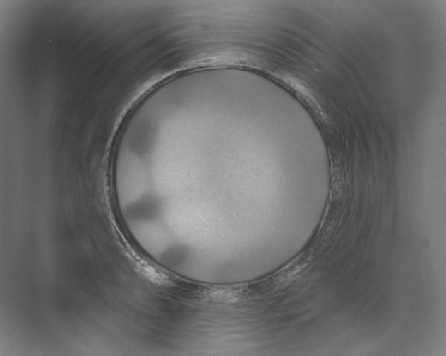 X0000071911086200608041402