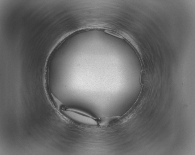 X0000071911093200608041402