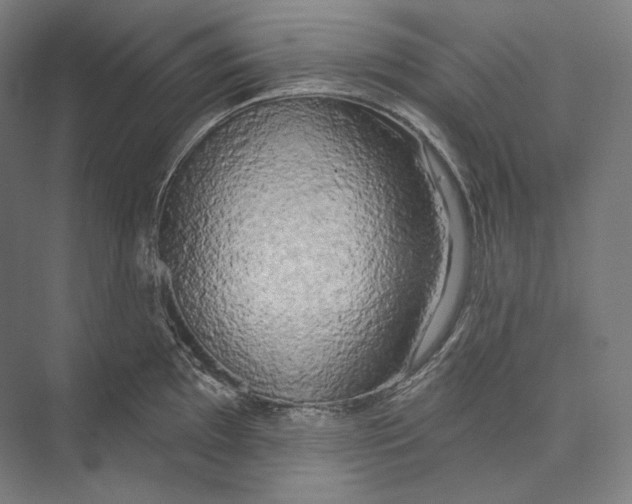 X0000071911097200608041402