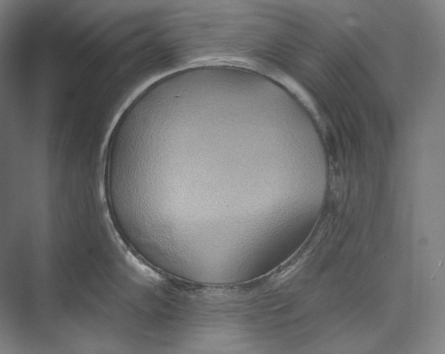 X0000071911102200608041402