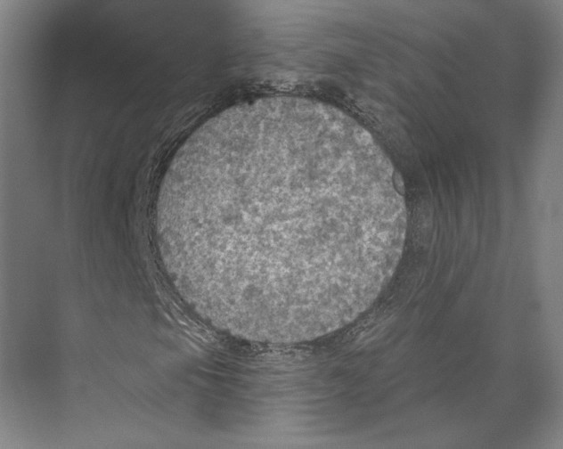 X0000071911105200608041401