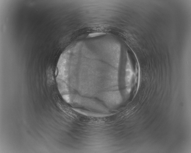 X0000071911106200608041401