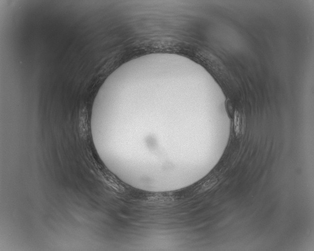 X0000071911107200608041401