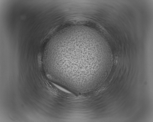 X0000071911108200608041401