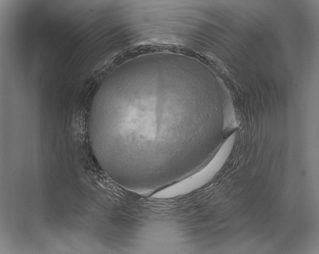X0000071911110200608041401