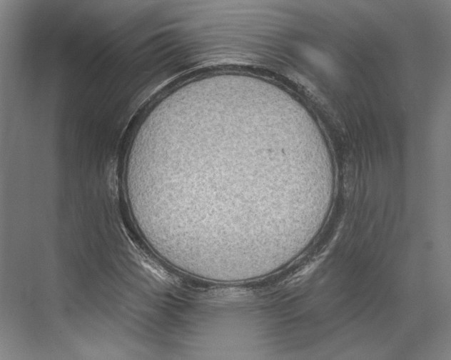 X0000071911113200608041401