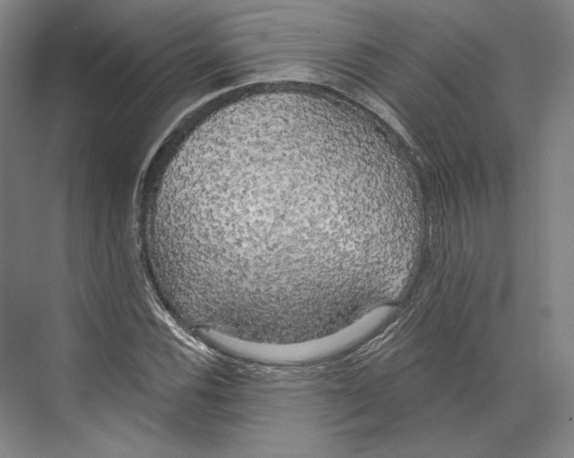X0000071911116200608041402