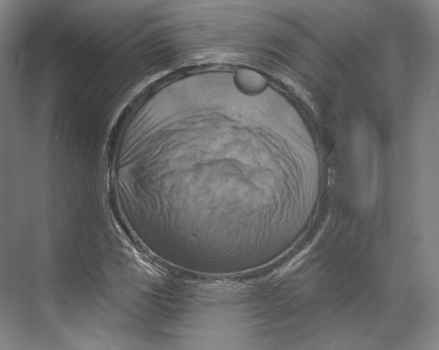 X0000071911117200608041402