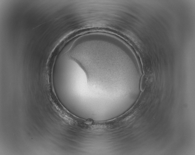 X0000071911118200608041402