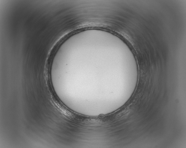 X0000071911119200608041402