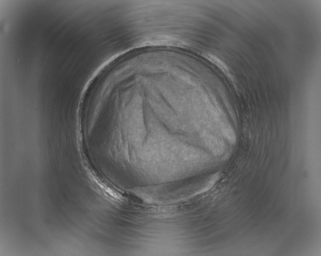 X0000071911120200608041402
