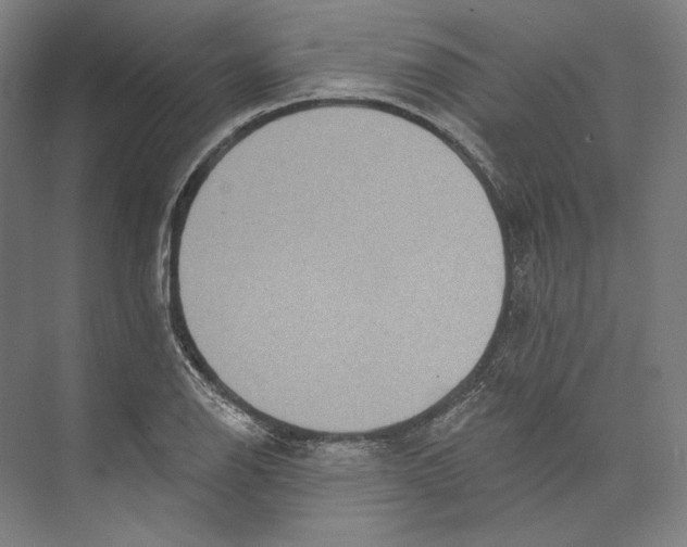 X0000071911126200608041402