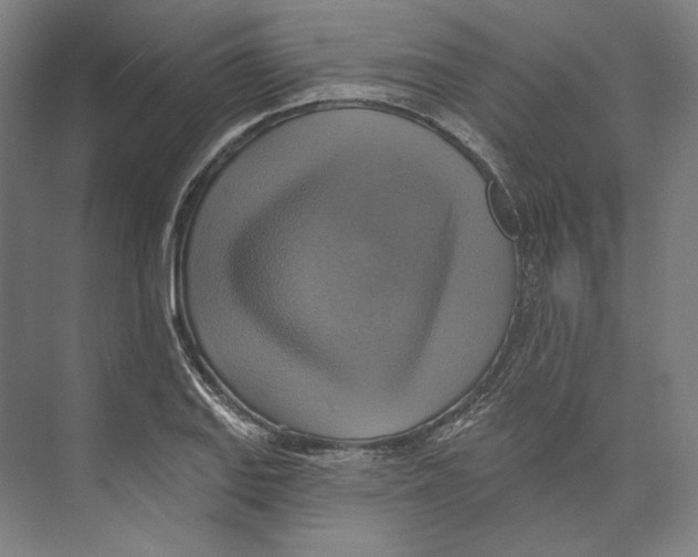 X0000071911127200608041402
