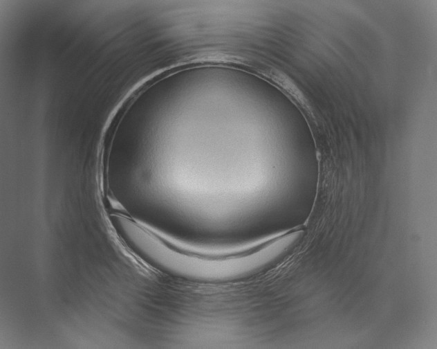 X0000071911132200608041402