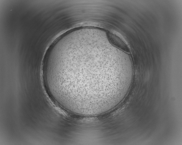 X0000071911133200608041402