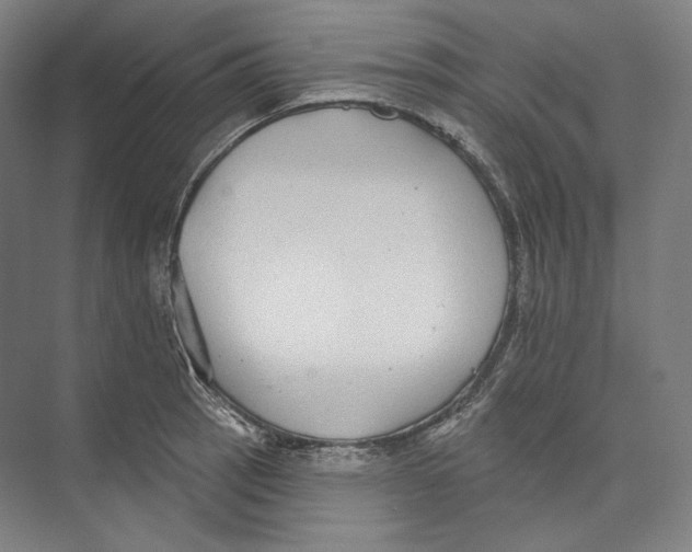 X0000071911137200608041402