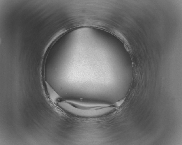 X0000071911138200608041402