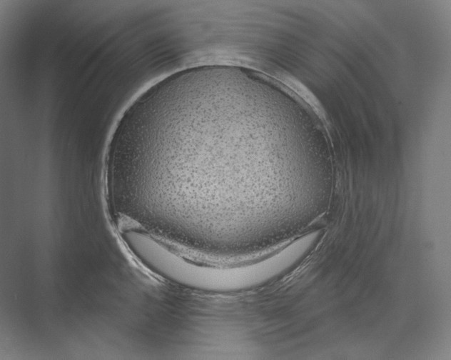 X0000071911144200608041402