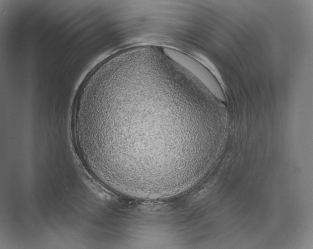 X0000071911146200608041402
