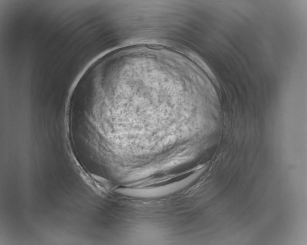X0000071911148200608041402