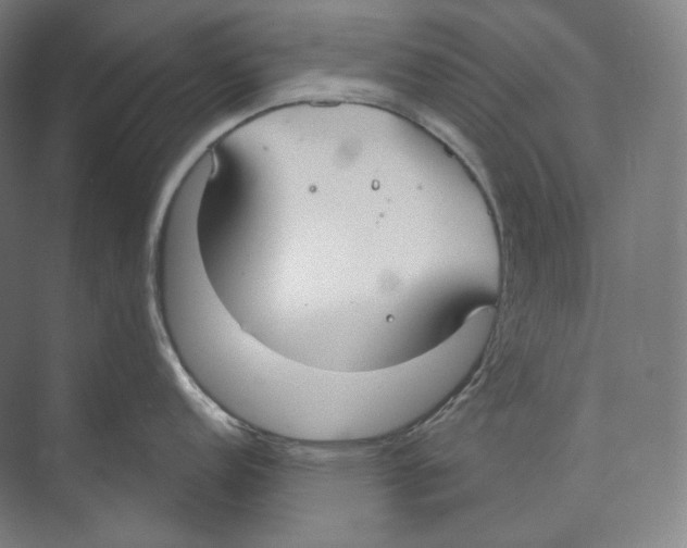 X0000071911152200608041402