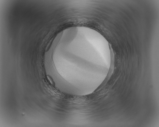 X0000071911153200608041401