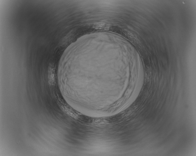 X0000071911154200608041401