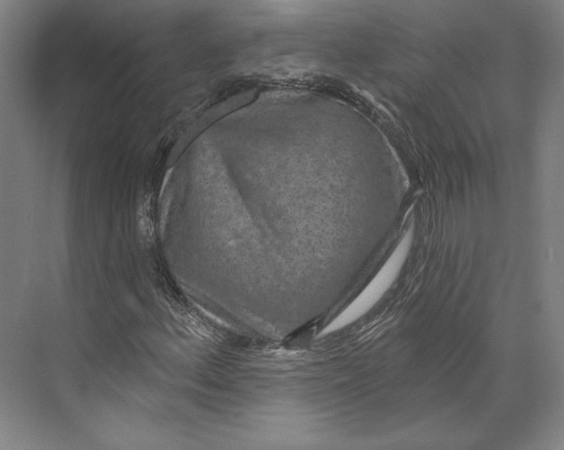 X0000071911156200608041401