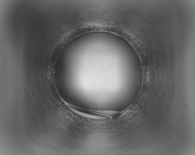 X0000071911157200608041401