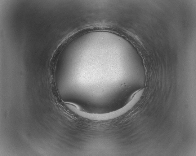 X0000071911160200608041401