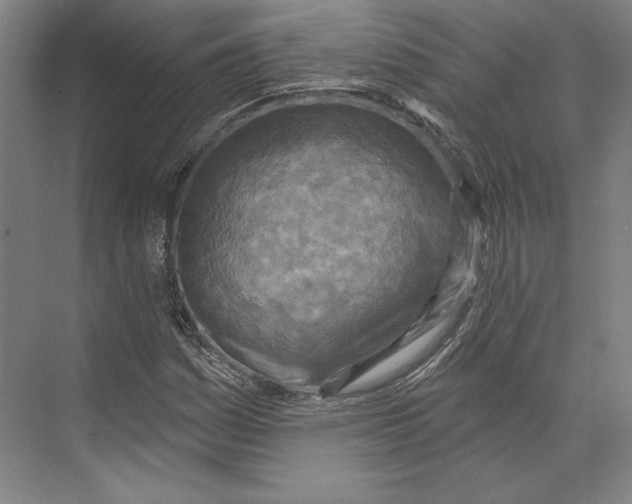 X0000071911161200608041401