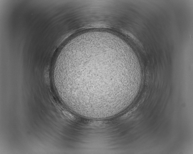 X0000071911162200608041401