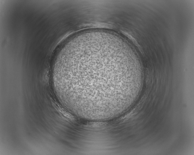 X0000071911163200608041401