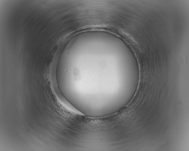 X0000071911169200608041401