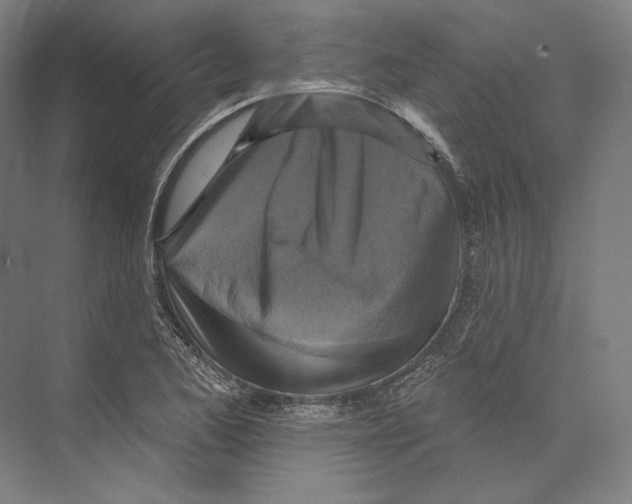 X0000071911173200608041401