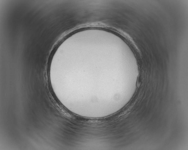 X0000071911176200608041401