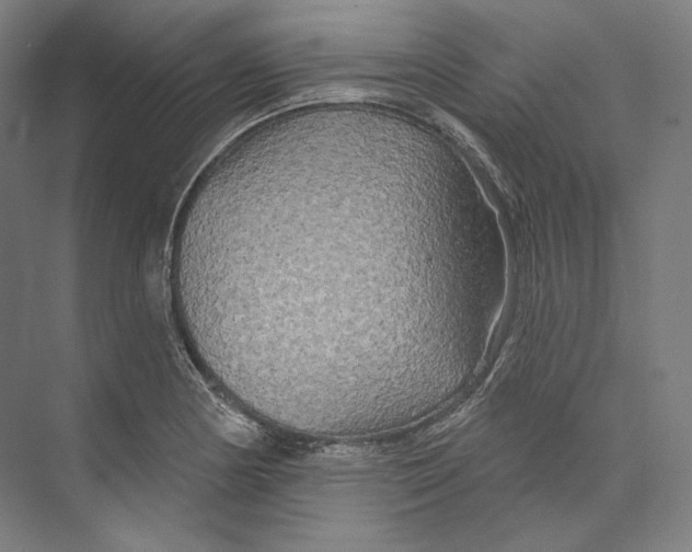 X0000071911178200608041401