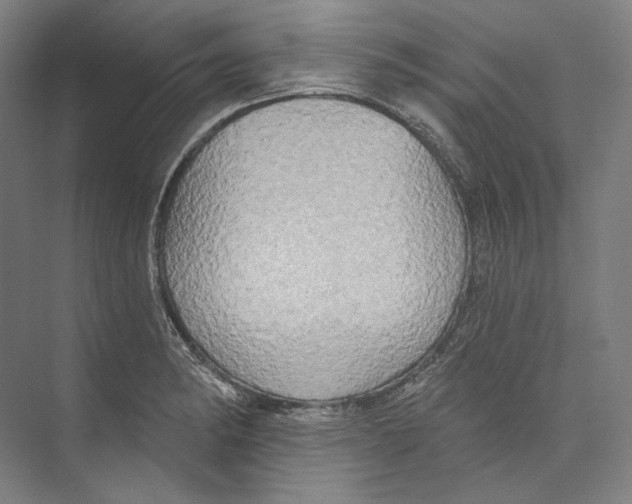 X0000071911182200608041401
