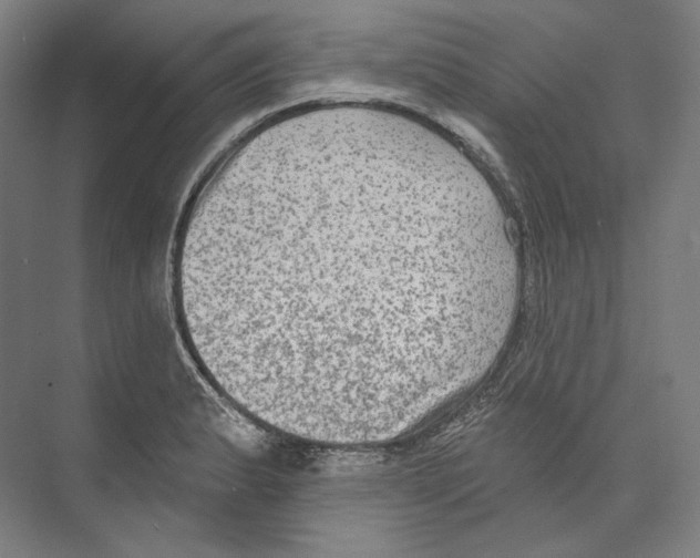 X0000071911183200608041401