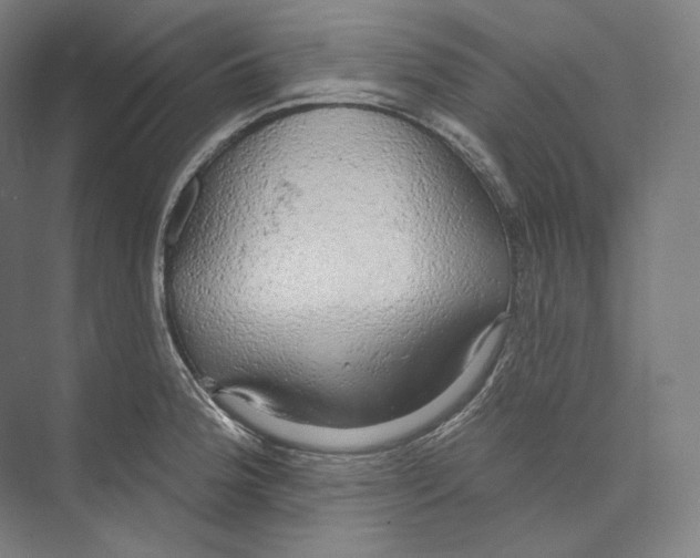 X0000071911188200608041401