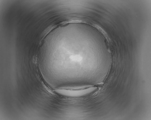 X0000071911193200608041401