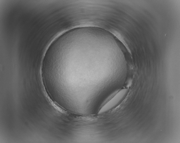 X0000071911197200608041401