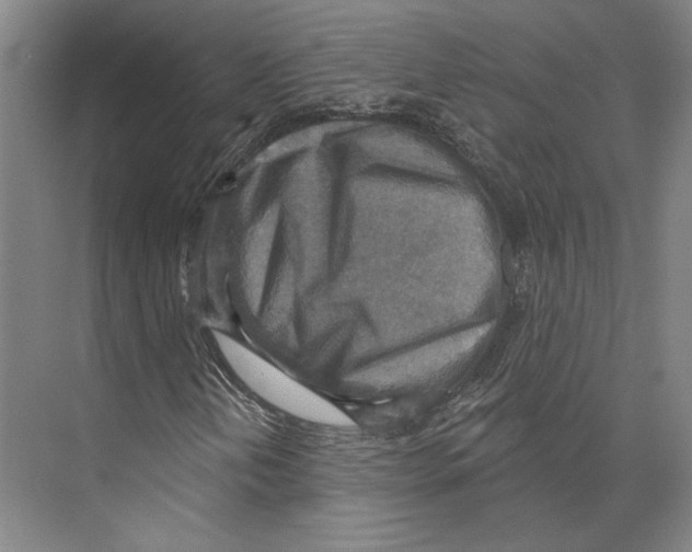 X0000071911202200608041400
