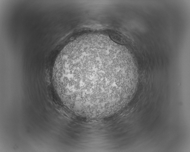 X0000071911205200608041400